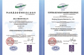 職業(yè)健康管理體系