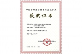 中國循環(huán)經(jīng)濟協(xié)會科學(xué)進步獎